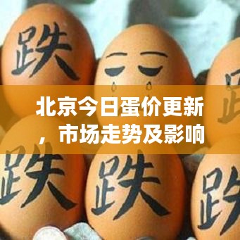 北京今日蛋价更新，市场走势及影响因素深度解析