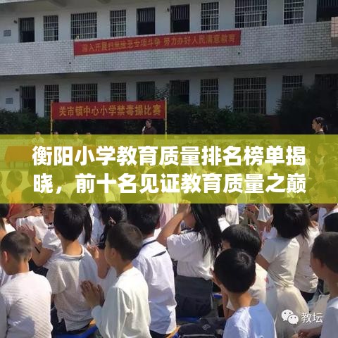 衡阳小学教育质量排名榜单揭晓，前十名见证教育质量之巅