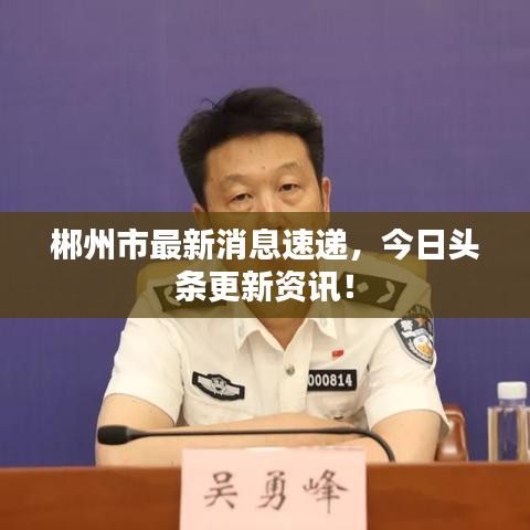 郴州市最新消息速递，今日头条更新资讯！