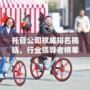 托管公司权威排名揭晓，行业领导者榜单，为您的选择提供明智参考