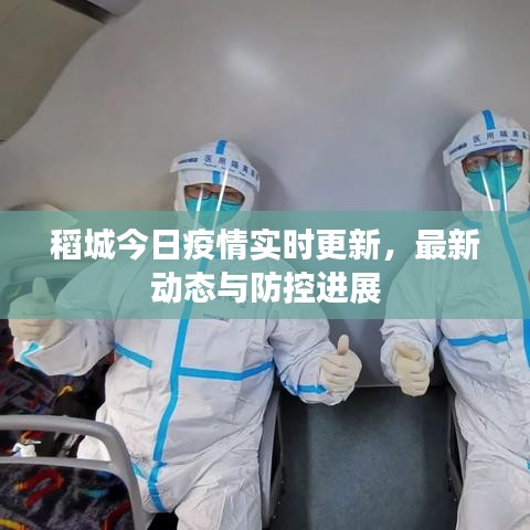 稻城今日疫情实时更新，最新动态与防控进展