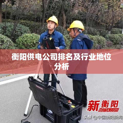 衡阳供电公司排名及行业地位分析
