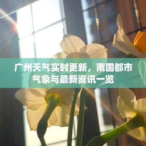 广州天气实时更新，南国都市气象与最新资讯一览
