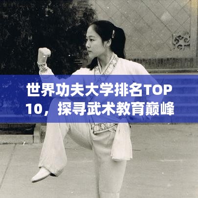 世界功夫大学排名TOP10，探寻武术教育巅峰殿堂
