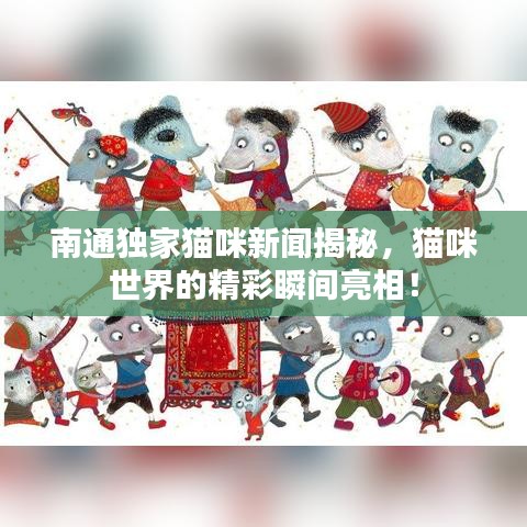 南通独家猫咪新闻揭秘，猫咪世界的精彩瞬间亮相！