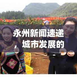 永州新闻速递，城市发展的脉搏与活力四溢的热点聚焦