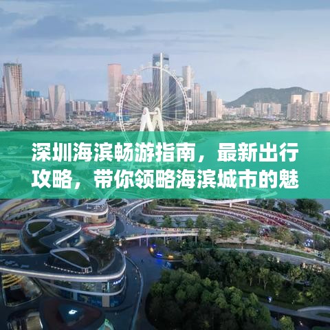 深圳海滨畅游指南，最新出行攻略，带你领略海滨城市的魅力