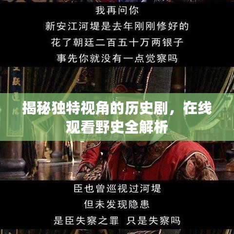 揭秘独特视角的历史剧，在线观看野史全解析