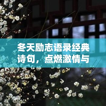 冬天励志语录经典诗句，点燃激情与斗志之火