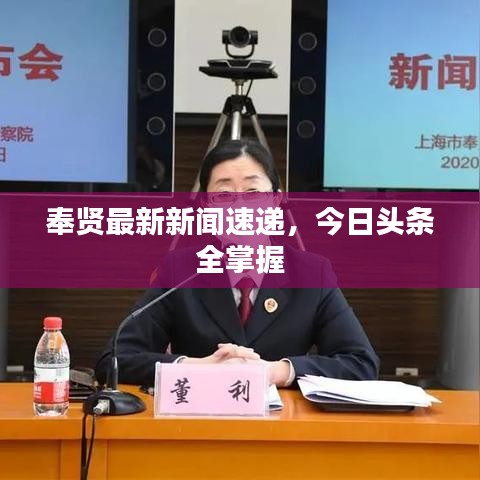 奉贤最新新闻速递，今日头条全掌握
