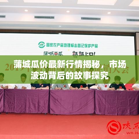 蒲城瓜价最新行情揭秘，市场波动背后的故事探究