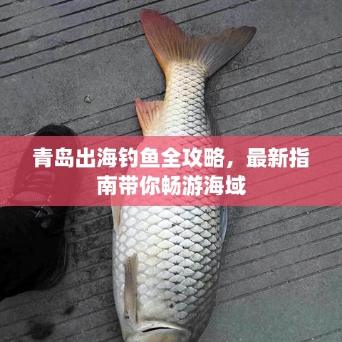 2025年6月18日 第46页