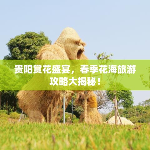 贵阳赏花盛宴，春季花海旅游攻略大揭秘！