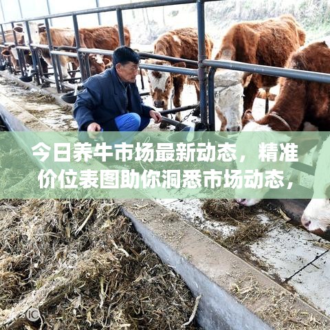 今日养牛市场最新动态，精准价位表图助你洞悉市场动态，把握养牛业黄金机遇