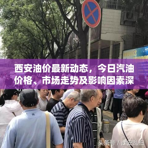 西安油价最新动态，今日汽油价格、市场走势及影响因素深度解析