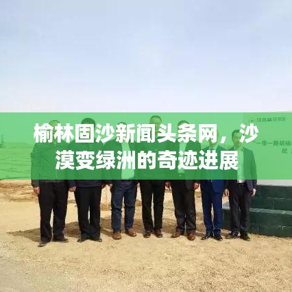 榆林固沙新闻头条网，沙漠变绿洲的奇迹进展