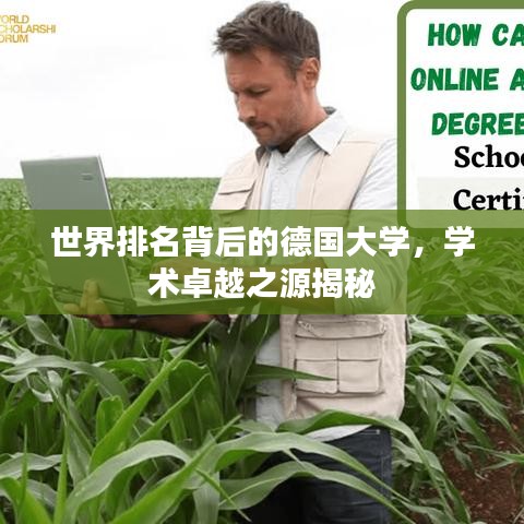 世界排名背后的德国大学，学术卓越之源揭秘