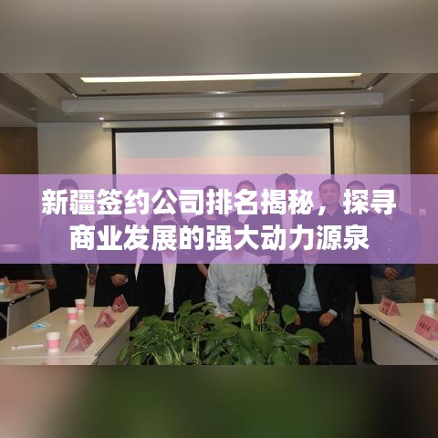 新疆签约公司排名揭秘，探寻商业发展的强大动力源泉