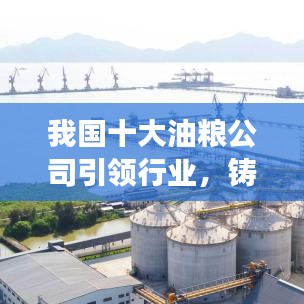 我国十大油粮公司引领行业，铸就粮食安全坚实之盾