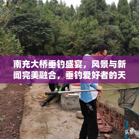 南充大桥垂钓盛宴，风景与新闻完美融合，垂钓爱好者的天堂！