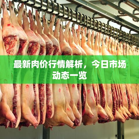 最新肉价行情解析，今日市场动态一览