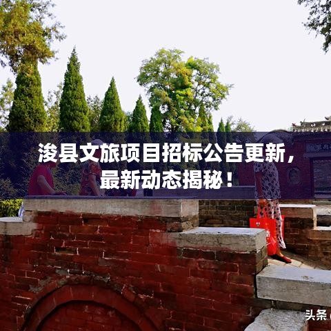 浚县文旅项目招标公告更新，最新动态揭秘！