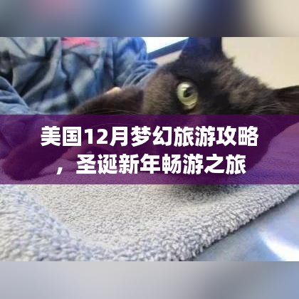 美国12月梦幻旅游攻略，圣诞新年畅游之旅