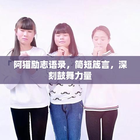 阿猫励志语录，简短箴言，深刻鼓舞力量