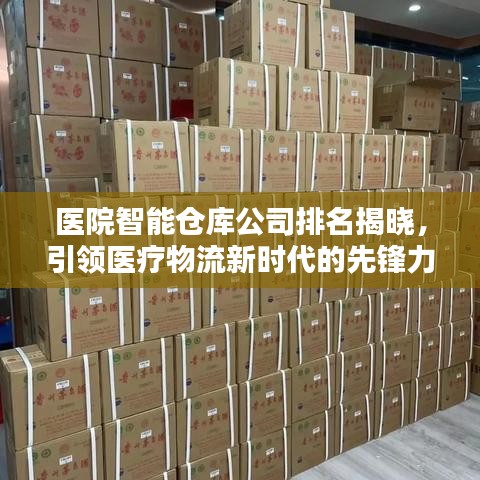 医院智能仓库公司排名揭晓，引领医疗物流新时代的先锋力量榜