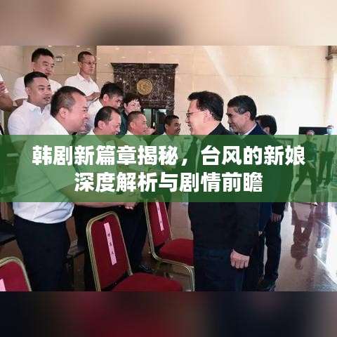 韩剧新篇章揭秘，台风的新娘深度解析与剧情前瞻
