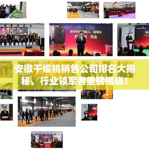 安徽干燥机销售公司排名大揭秘，行业领军者重磅揭晓！