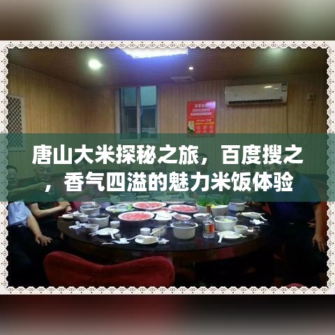 唐山大米探秘之旅，百度搜之，香气四溢的魅力米饭体验