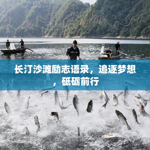 长汀沙滩励志语录，追逐梦想，砥砺前行