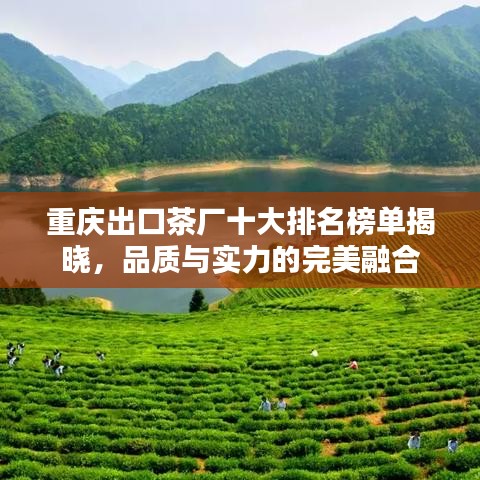 重庆出口茶厂十大排名榜单揭晓，品质与实力的完美融合