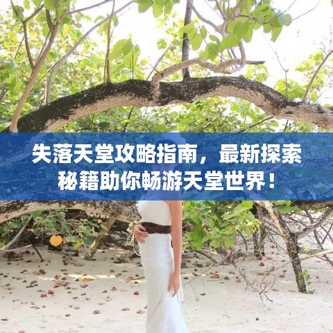 失落天堂攻略指南，最新探索秘籍助你畅游天堂世界！