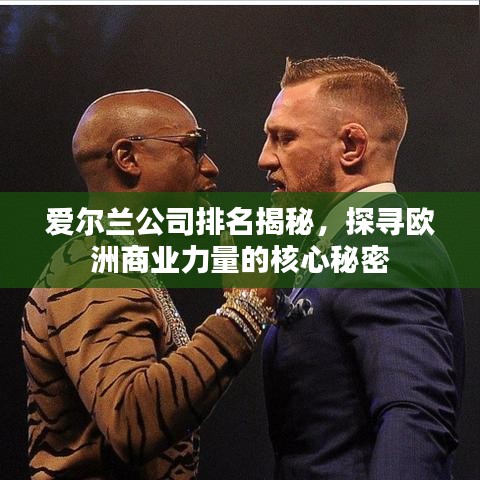 爱尔兰公司排名揭秘，探寻欧洲商业力量的核心秘密