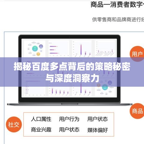 揭秘百度多点背后的策略秘密与深度洞察力