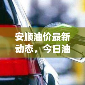 安顺油价最新动态，今日油价表查询及波动因素深度解析与趋势展望