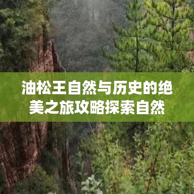 油松王自然与历史的绝美之旅攻略探索自然美景与历史文化韵味