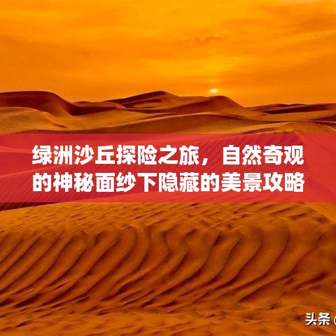 绿洲沙丘探险之旅，自然奇观的神秘面纱下隐藏的美景攻略！