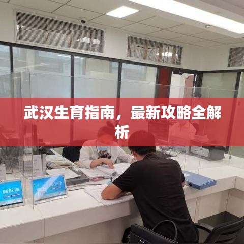 武汉生育指南，最新攻略全解析