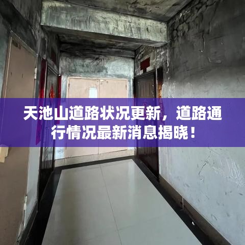 天池山道路状况更新，道路通行情况最新消息揭晓！