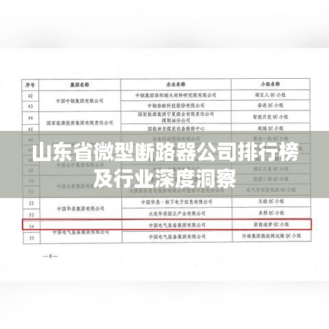 山东省微型断路器公司排行榜及行业深度洞察