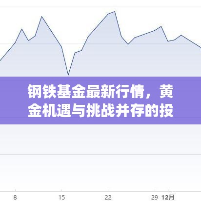 钢铁基金最新行情，黄金机遇与挑战并存的投资策略分析