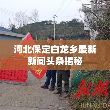 河北保定白龙乡最新新闻头条揭秘