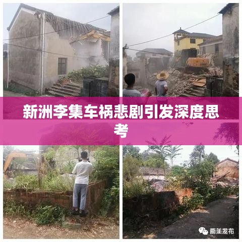 新洲李集车祸悲剧引发深度思考