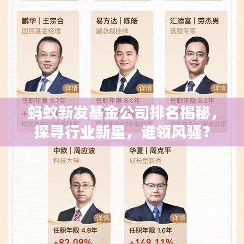 蚂蚁新发基金公司排名揭秘，探寻行业新星，谁领风骚？