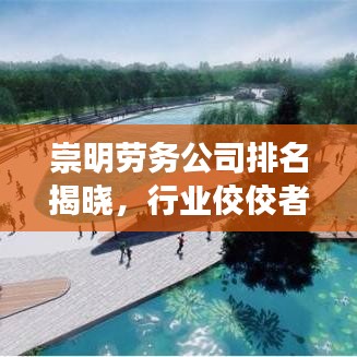 崇明劳务公司排名揭晓，行业佼佼者TOP10解读