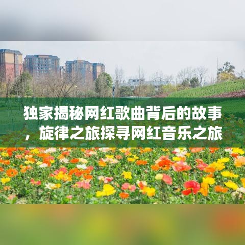 独家揭秘网红歌曲背后的故事，旋律之旅探寻网红音乐之旅