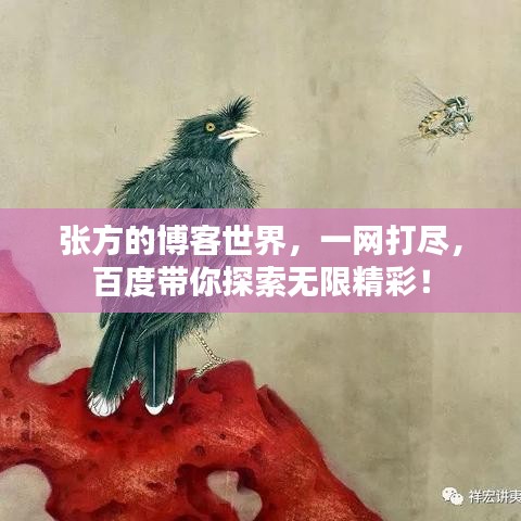 张方的博客世界，一网打尽，百度带你探索无限精彩！